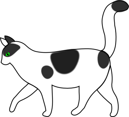 a black and white cat walking