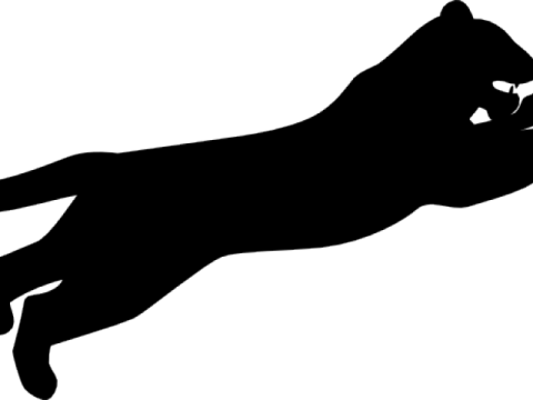 a black cat silhouetted on a white background