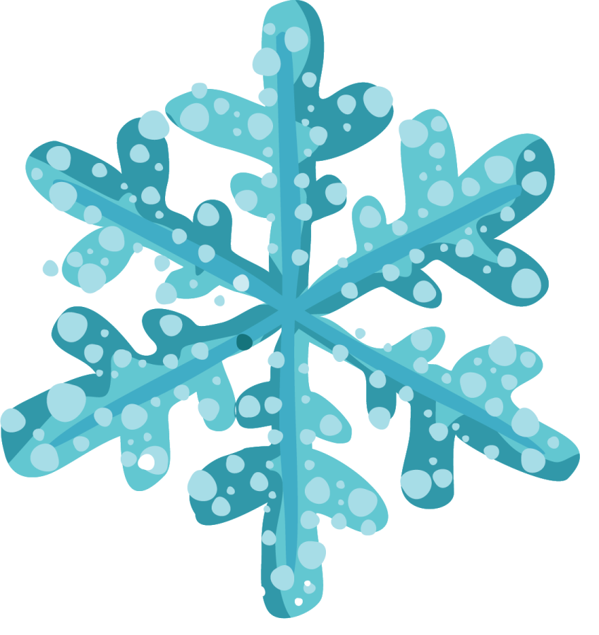 an illustration of a snowflorer