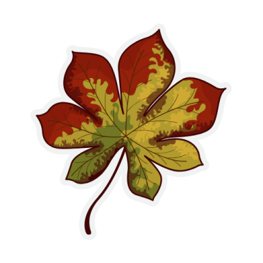 a red and yellow maple leaf