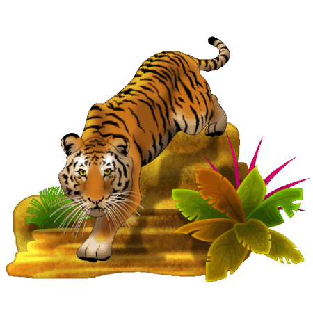 a tiger standing on top of a rock