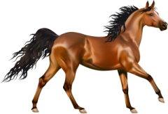 an image of a horse with long hair