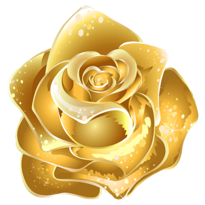 a golden rose on white background