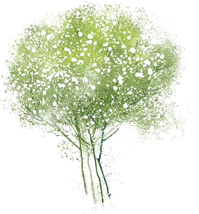 a watercolor painting of a tree