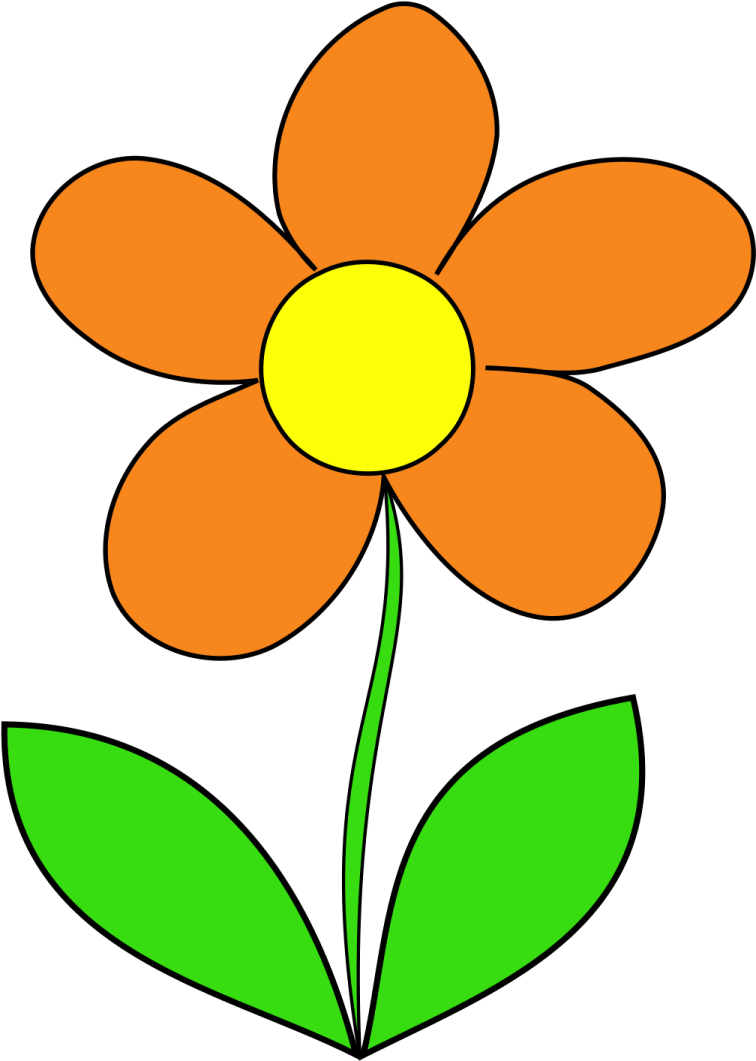 an orange flower with green leaves