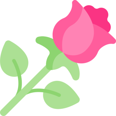 a pink rose on a white background