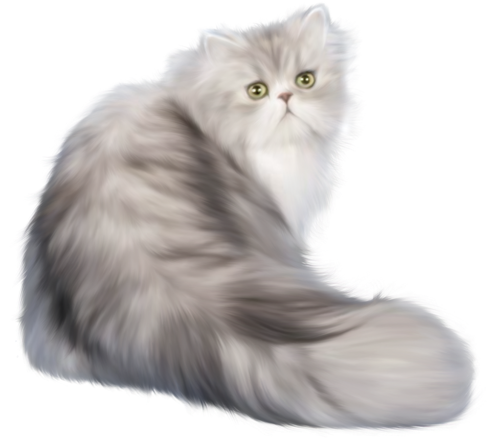 a gray cat with green eyes sitting down