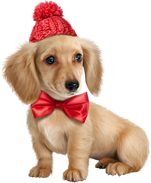 a small dog wearing a red bow tie