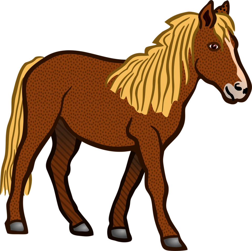 a brown horse standing on a white background