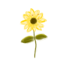 a yellow flower on a white background