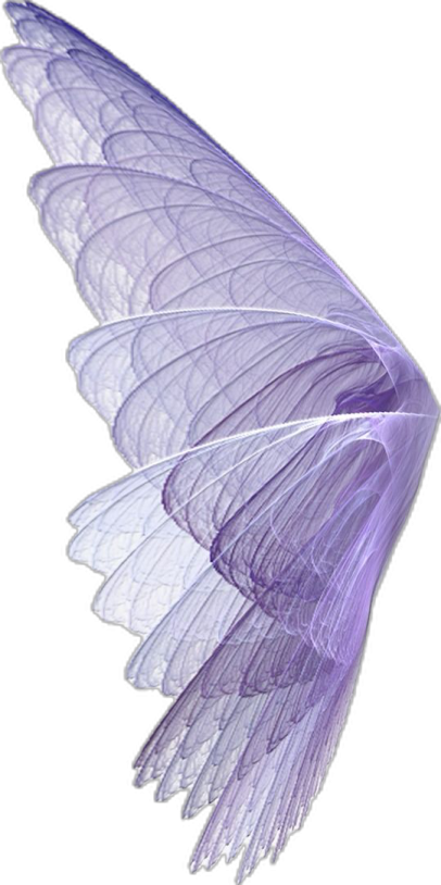 a purple angel wing on a white background