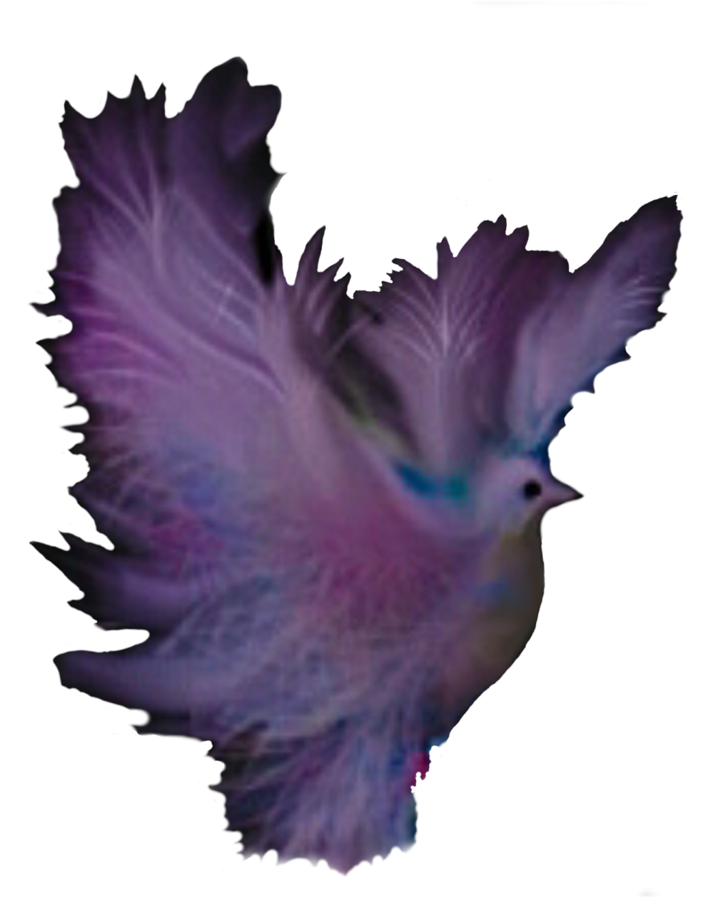 a picture of a bird flying in the air