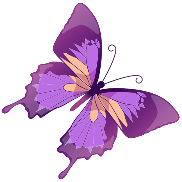 a purple butterfly on a white background