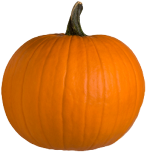 a small orange pumpkin on a white background