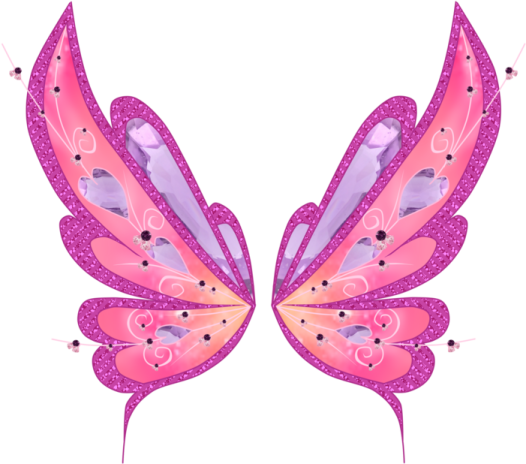 a pair of pink and purple butterfly wings
