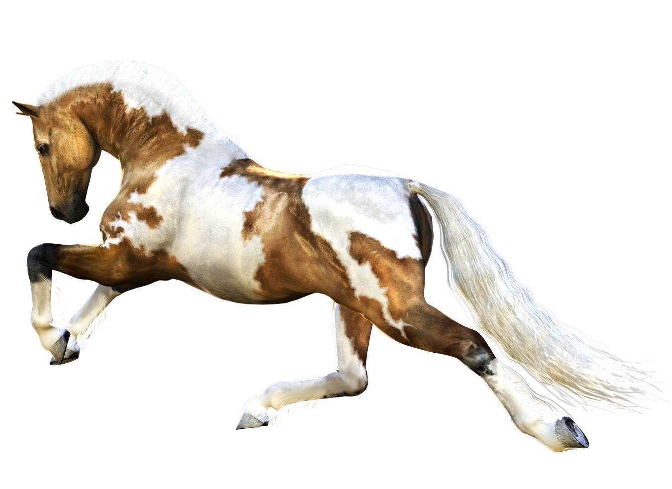 a brown and white horse running on a white background