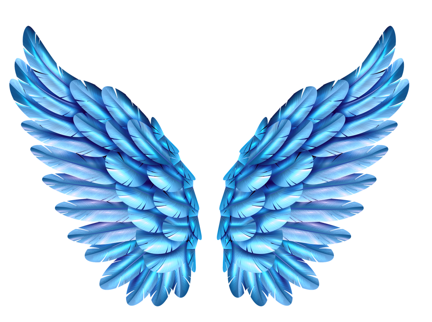 a pair of blue wings