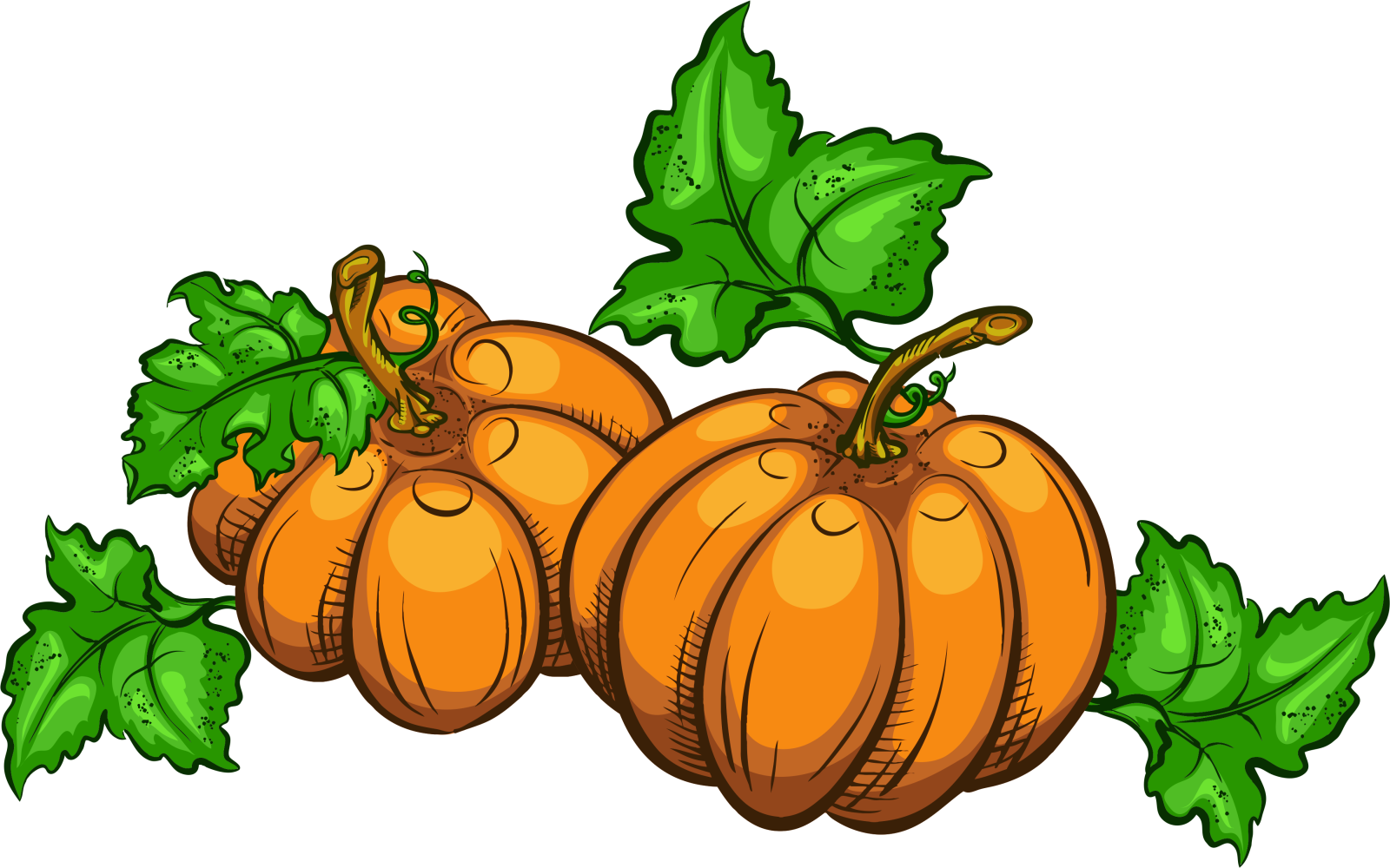 a bunch of pumpkins with green leaves