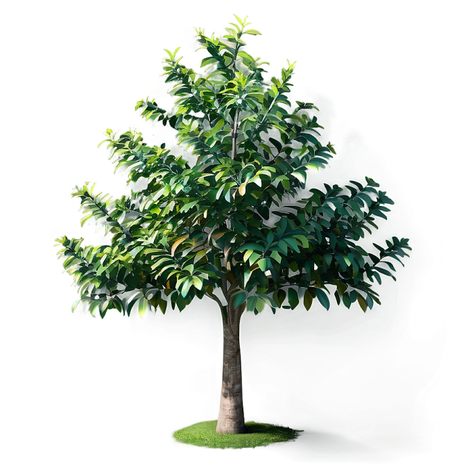 a small tree with green leaves on it