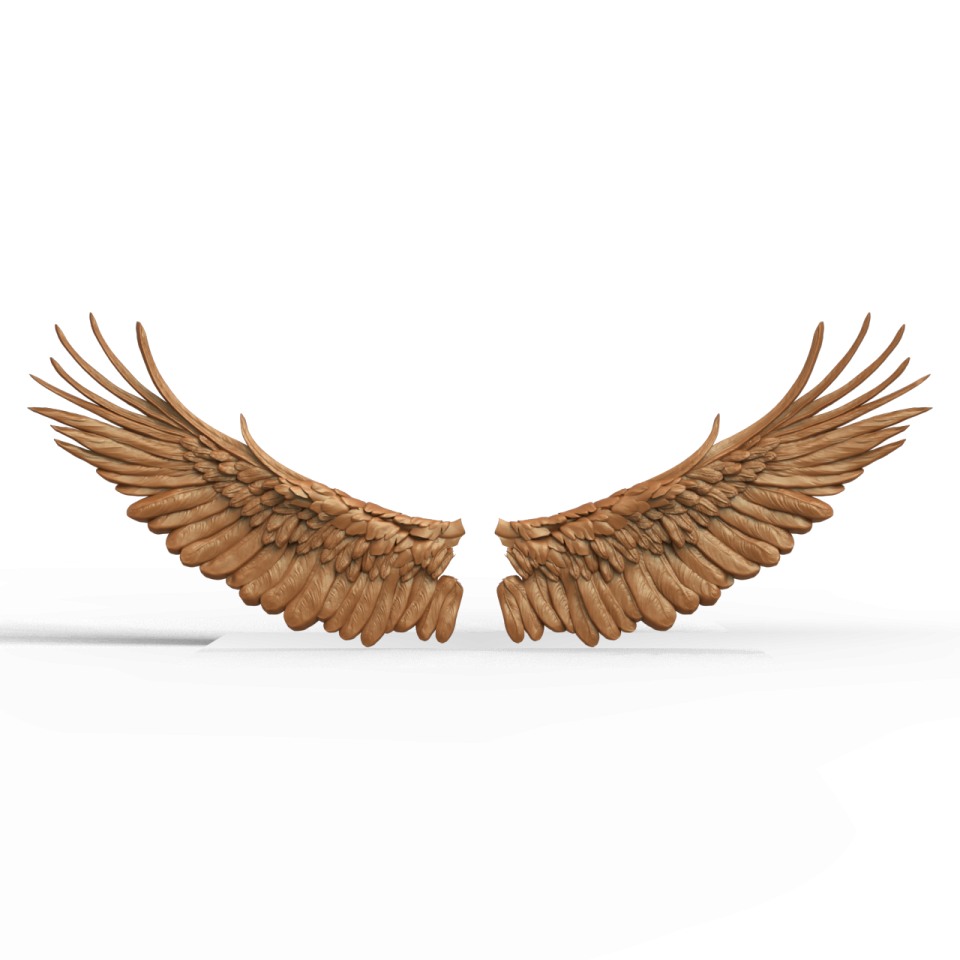 two wooden wings on a white background