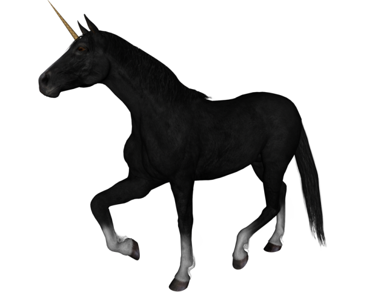 a black unicorn standing on its hinds