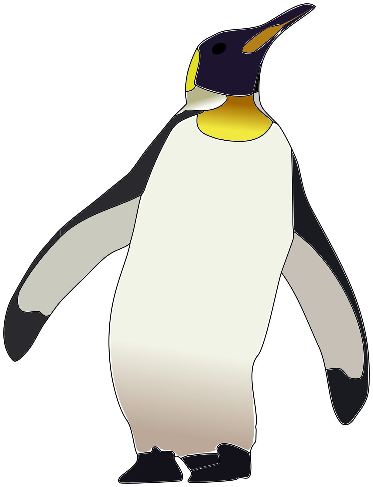 an image of a penguin