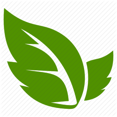 a green leaf icon