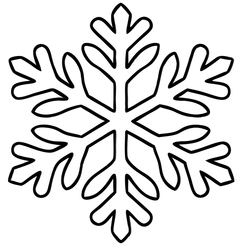 a black and white image of a snowfl
