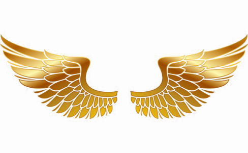 golden wings on a white background