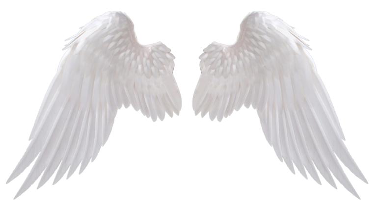 two white wings on a white background