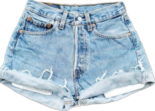 a pair of shorts with holes on them