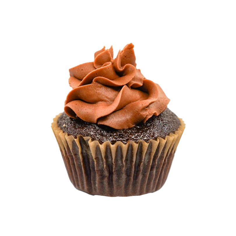 a cupcake with chocolate frosting on top