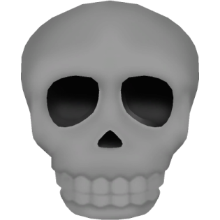 an image of a skull