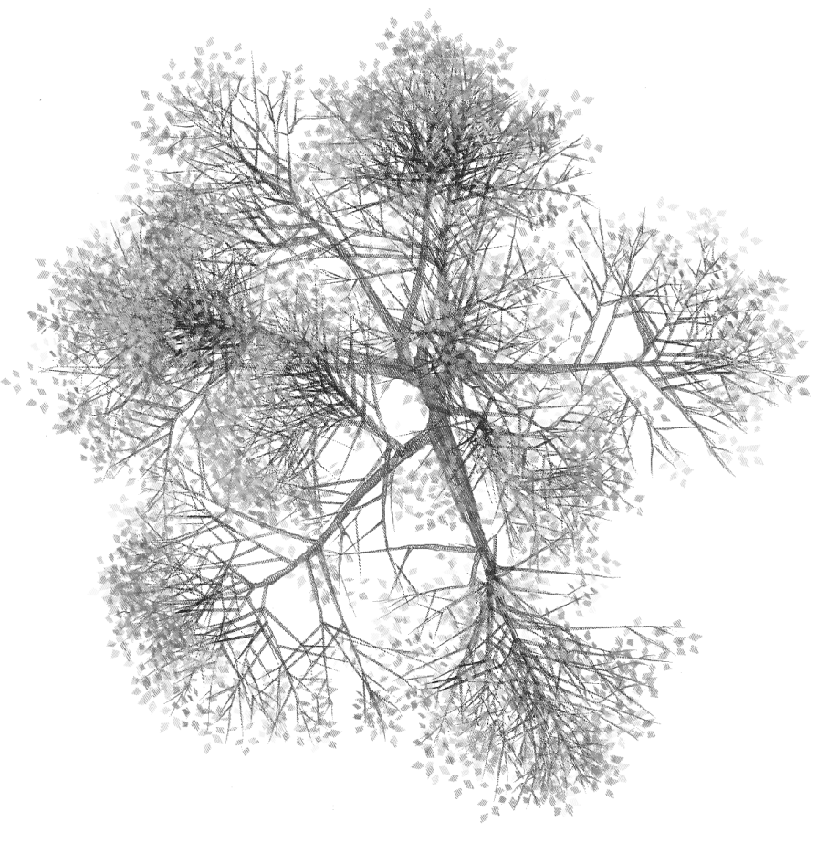 a black and white drawing of a tree
