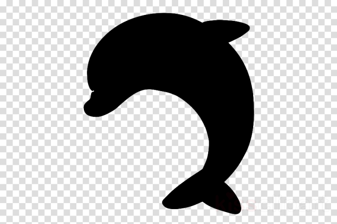 a dolphin silhouette on a transparent background