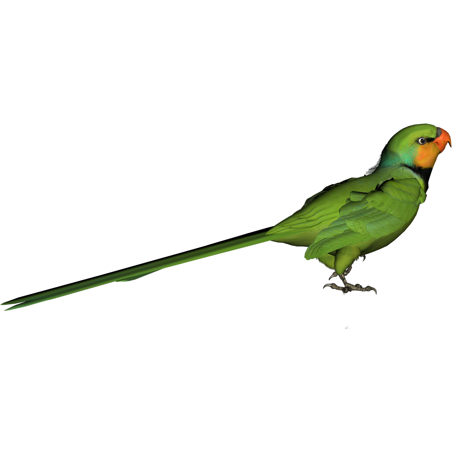 a green bird standing on top of a white surface