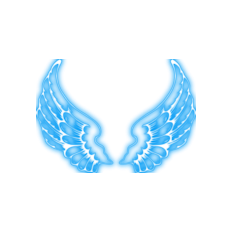 a pair of wings on a white background