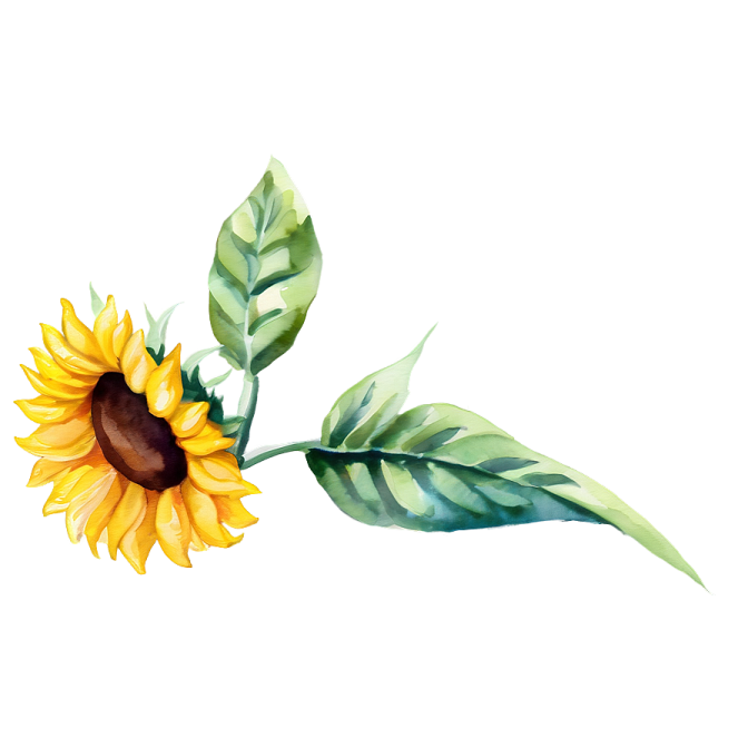 a watercolor painting of a sunflower