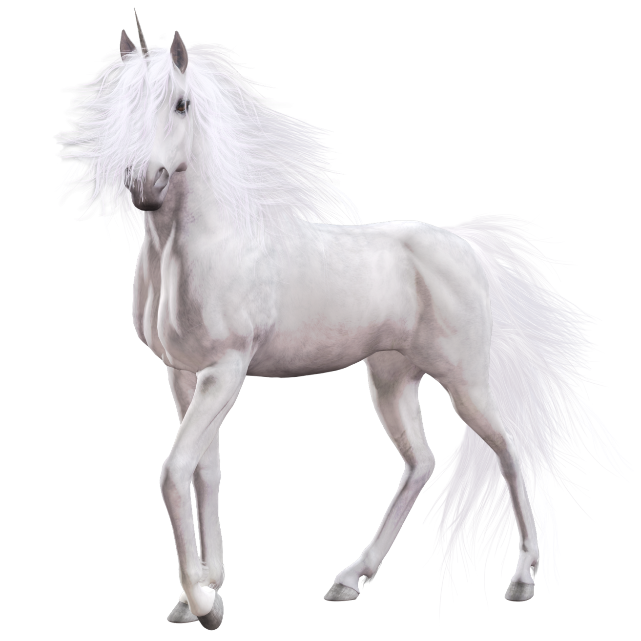 a white unicorn standing on its hinds