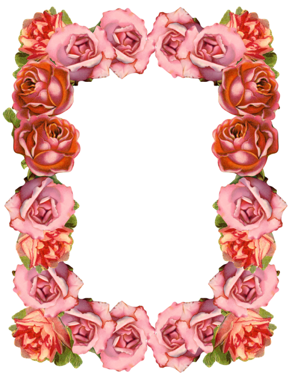 a frame made of pink and orange roses