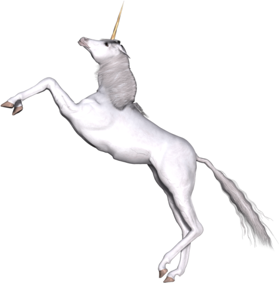 a white unicorn standing on its hind