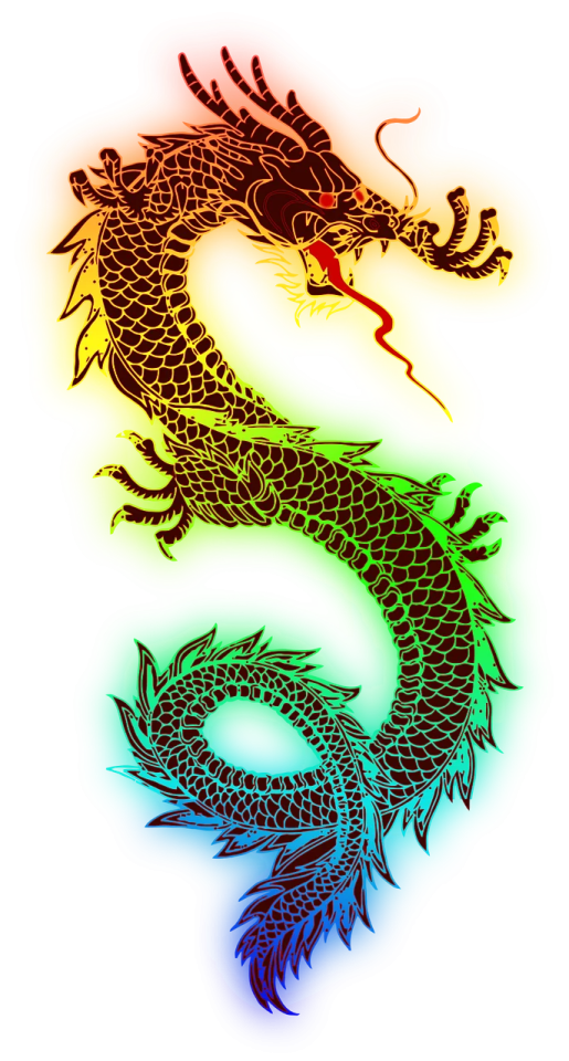 two colorful dragon tattoos on white background