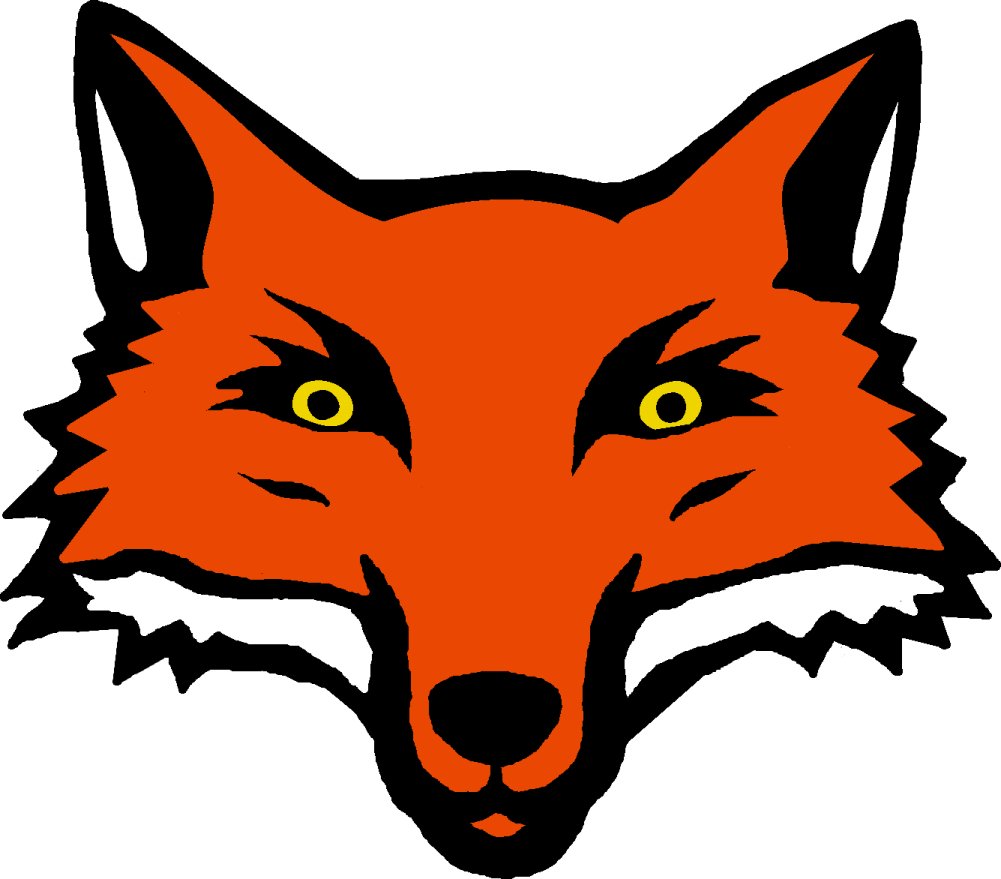 a red fox head with yellow eyes