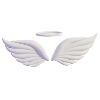 a pair of white wings on a white background