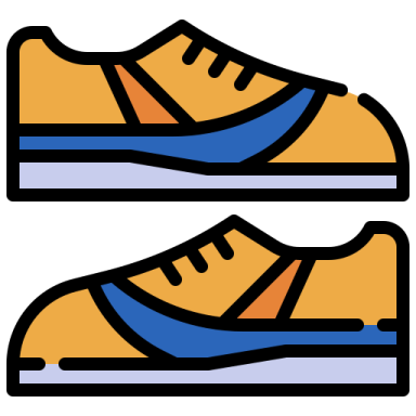 a pair of shoes