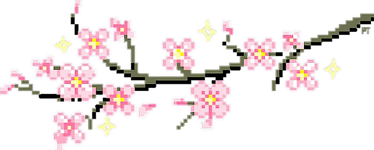 an image of pink flowers on a white background