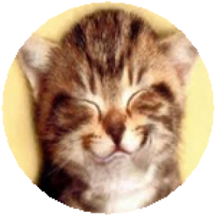a small kitten with its eyes closed