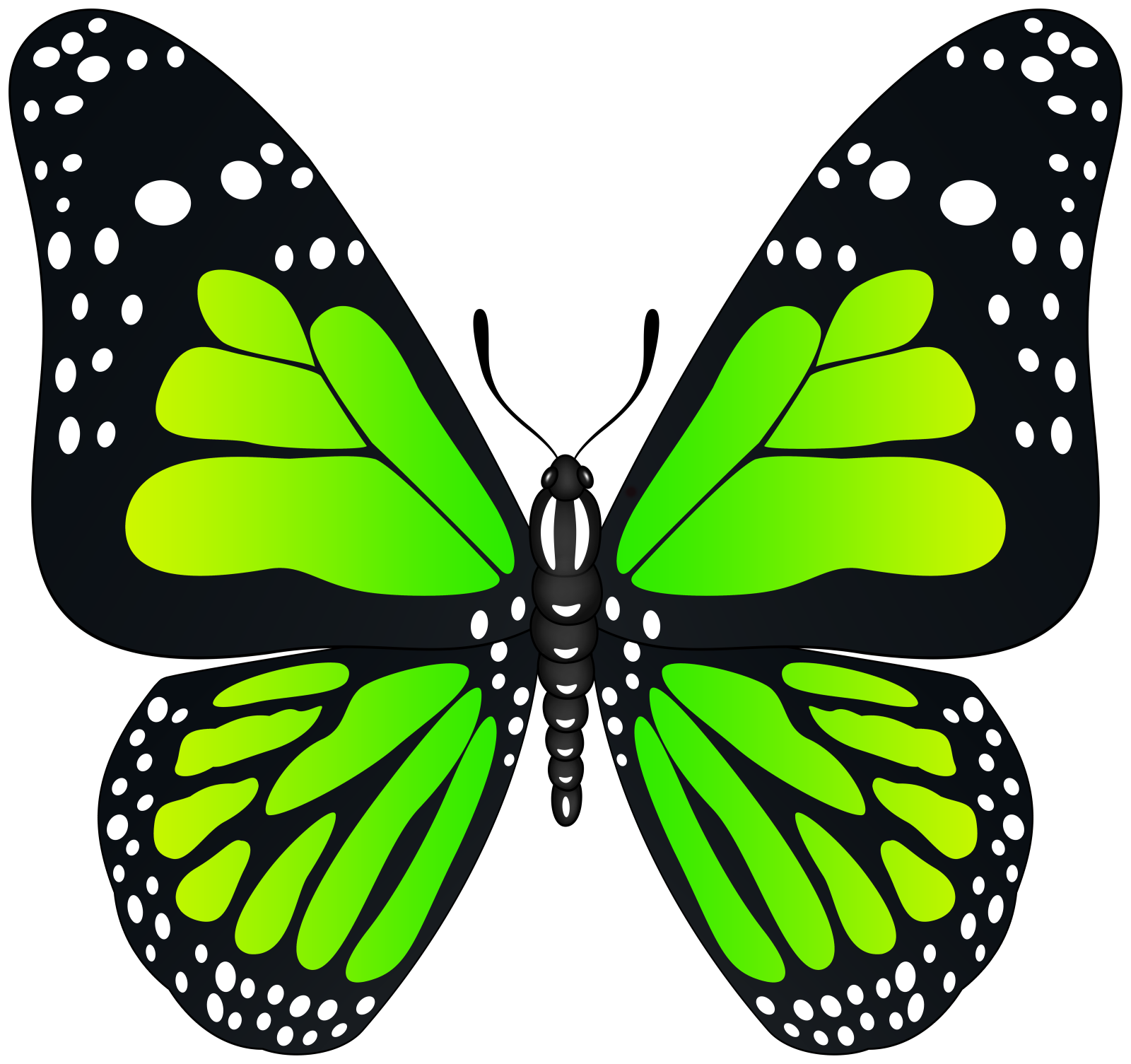 a green butterfly on a white background