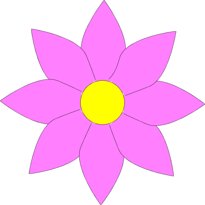a pink flower with yellow center