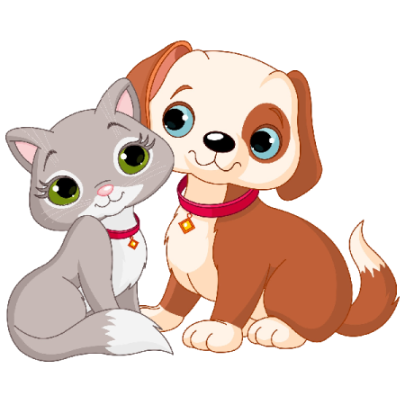 a cat and dog sitting together